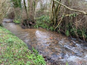 SUDS can reduce flow to streams, protecting wildlife and stopping erosion.